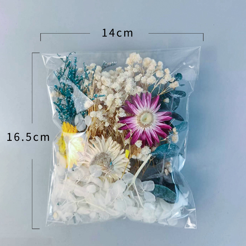 1pack Multifarious Dried Flowe - đánh giá và giá Embellish Craft