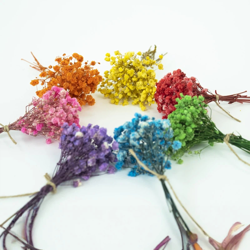 Dried Baby's Breath Flowers 50 - đánh giá và giá Craft Embellishments
